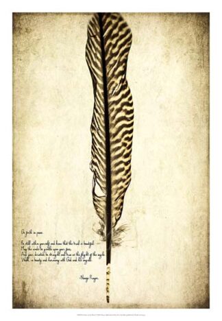 Feather on the Wind V