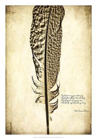 Feather on the Wind VI