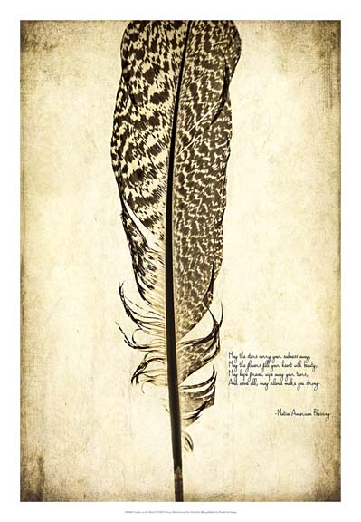 Feather on the Wind VI