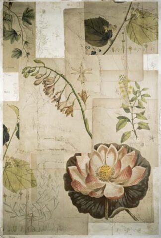 Embellished Field Notes Collage I