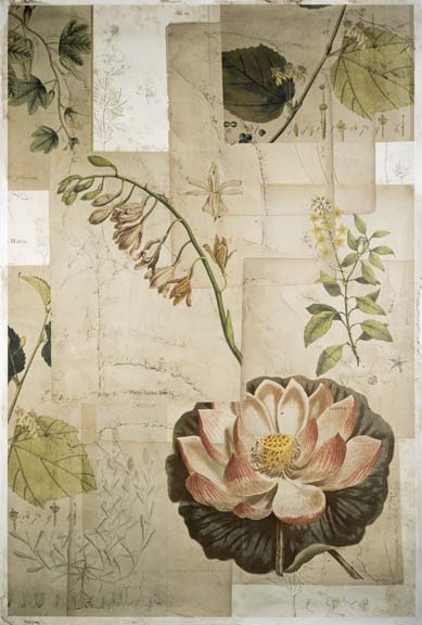 Embellished Field Notes Collage I