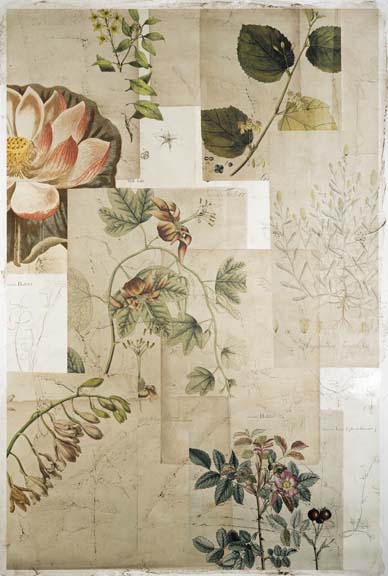 Embellished Field Notes Collage II