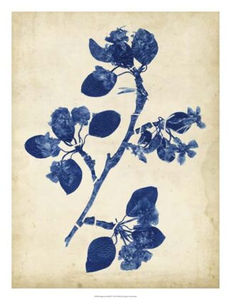 Indigo Leaf Study IV