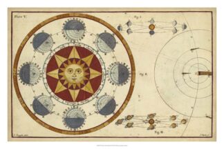 The Earth's Annual Orbit