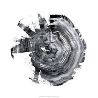 Tree Ring Abstract II