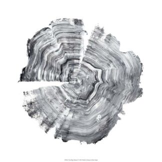 Tree Ring Abstract IV
