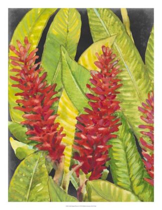 Red Tropical Flowers I