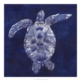 Sea Turtle Shadow II