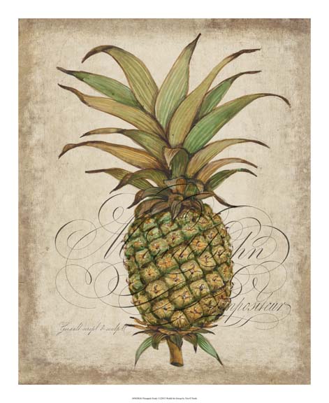 Pineapple Study I