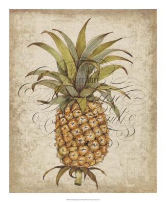 Pineapple Study II