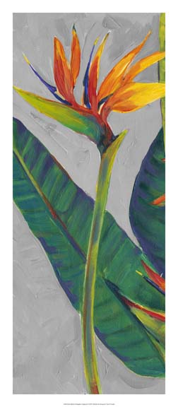 Bird of Paradise Triptych I