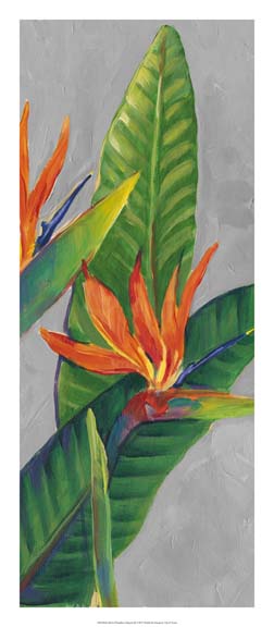 Bird of Paradise Triptych III