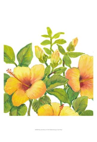 Watercolor Hibiscus I