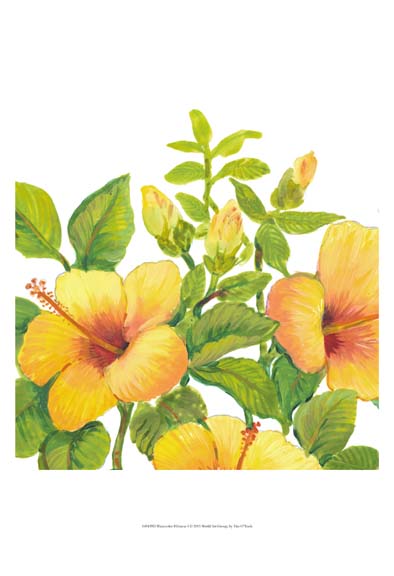 Watercolor Hibiscus I