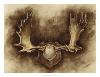 Rustic Antler Mount II