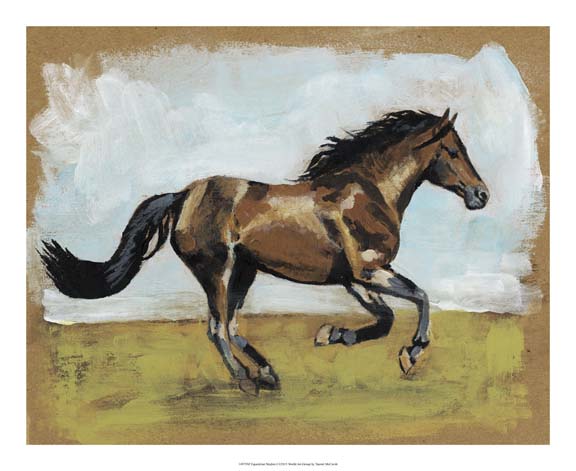 Equestrian Studies I