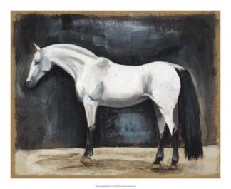 Equestrian Studies VI
