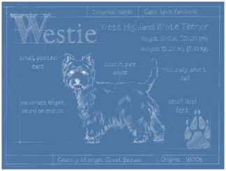 Blueprint Westie