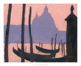 Venice Study V