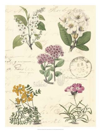 Botanical Journal II