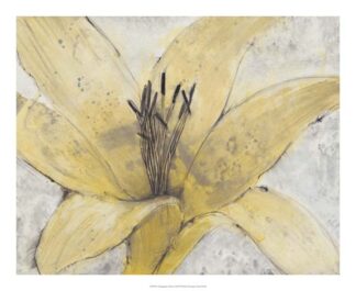 Transparency Flower I