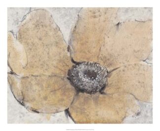 Transparency Flower III