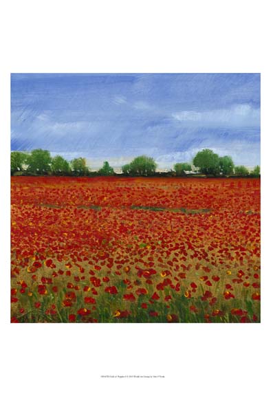 Field of Poppies I