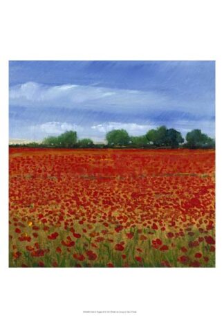 Field of Poppies II