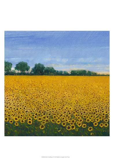 Field of Sunflowers I