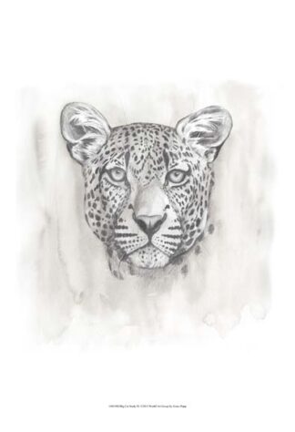 Big Cat Study IV