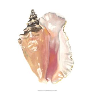 Seashore Souvenirs I