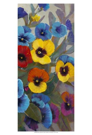 Pansy Panel III