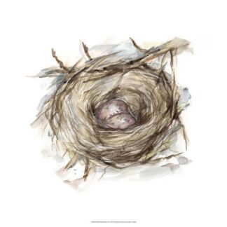 Bird Nest Study IV