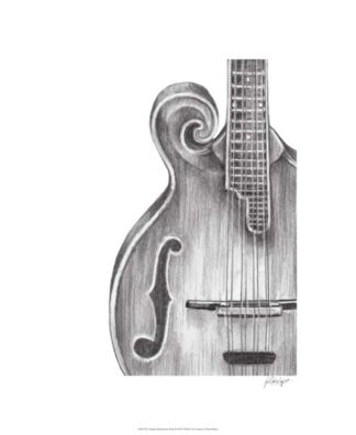 Stringed Instrument Study II