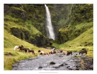 Waterfall Horses II