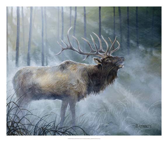 Elk Journey III