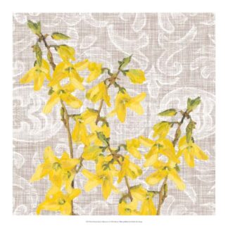 Flower Study Collection C