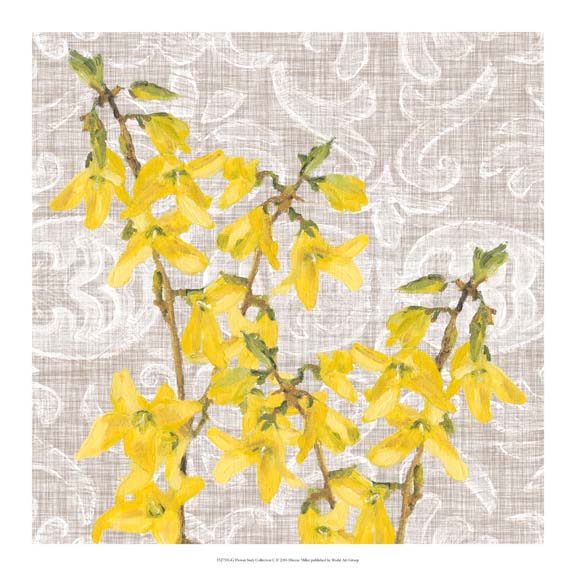 Flower Study Collection C