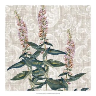 Flower Study Collection D