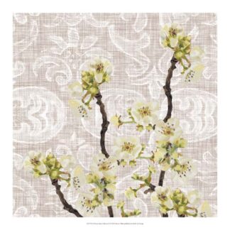 Flower Study Collection E