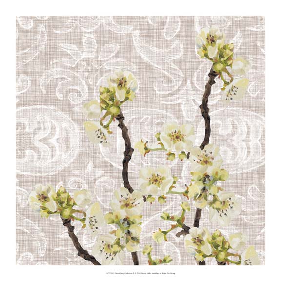 Flower Study Collection E