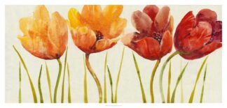 Row of Tulips I