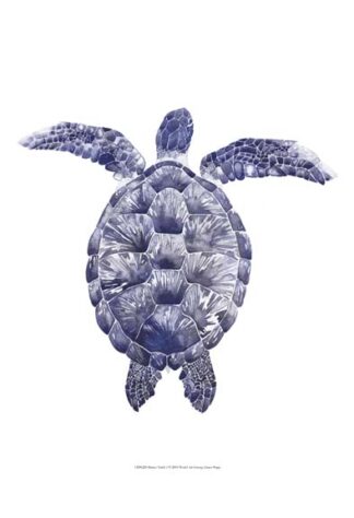 Marine Turtle I