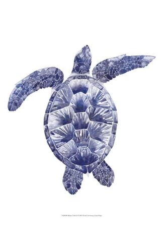 Marine Turtle II