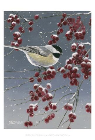 Winter Chickadees I