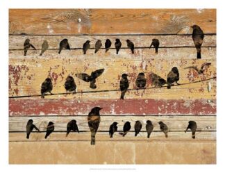 Birds on Wood V