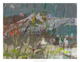 Mountain Wildflowers II