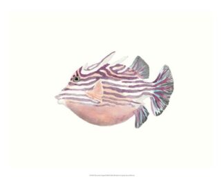 Watercolor Tropical Fish II