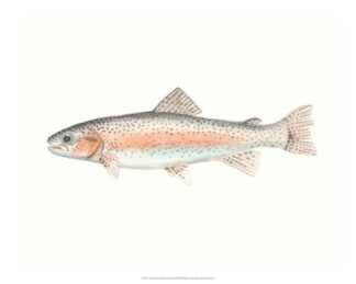 Watercolor Deep Sea Fish II