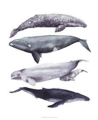 Whale Stack I